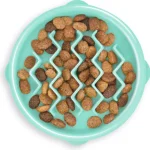 Outward Hound Koiratarvikkeet^Ahmimisenestokuppi Aalto