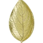 Kotikulta Maljakot Ja Koriste-esineet-Alunen 16 Cm Lehti