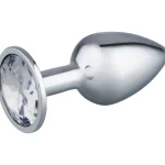 Rfsu Hyvinvointi- Ja Terveydenhoitotarvikkeet^Anaalitappi Shiny Dream