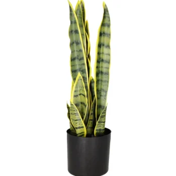 Kotikulta Tekokasvit-Anopinkieli 50 Cm