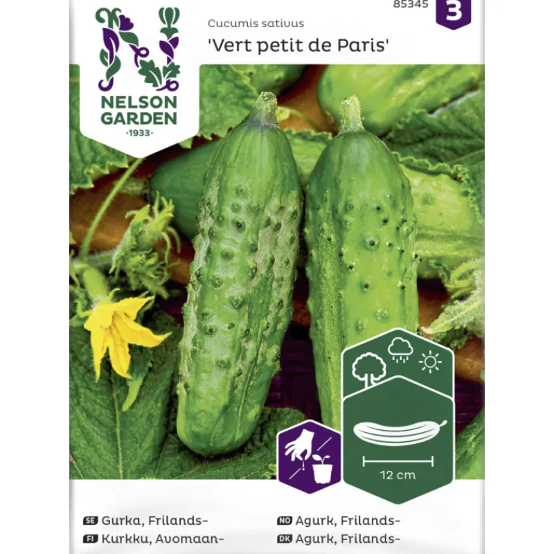avomaankurkku-siemen-nelson-ga-OlmNPlHm-0.webp Nelson Garden Basic Kasvien Ja Nurmikonsiemenet-Avomaankurkku Siemen Vert Petit De Paris