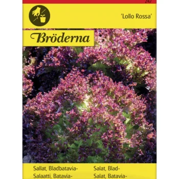 Bröderna Nelsons Kasvien Ja Nurmikonsiemenet-Bataviasalaatti Lollo Rossa Siemen