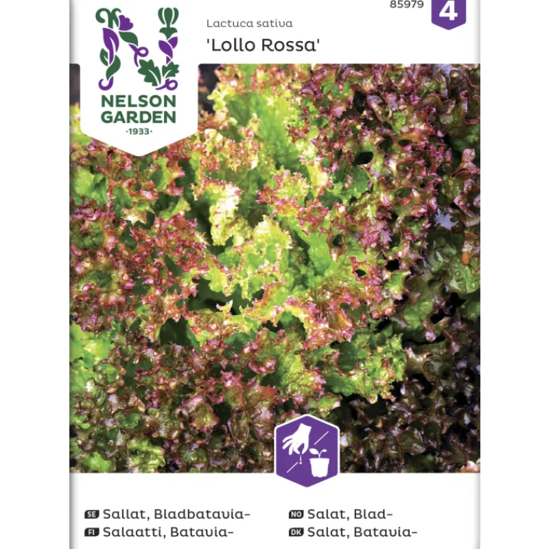 bataviasalaatti-siemen-nelson-YAdyNnnn-0.webp Nelson Garden Basic Kasvien Ja Nurmikonsiemenet-Bataviasalaatti Siemen Lollo Rossa
