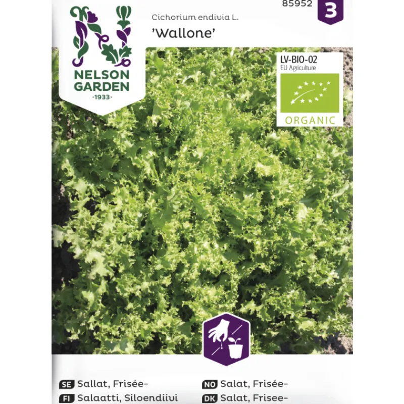 endiivisalaatti-siemen-nelson-sRkvaaur-0.webp Nelson Garden Basic Kasvien Ja Nurmikonsiemenet-Endiivisalaatti Siemen Wallone Organic