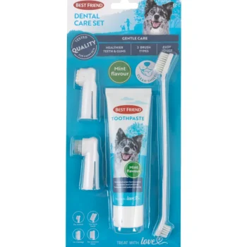 Best Friend Koiratarvikkeet^Hammashoitosetti