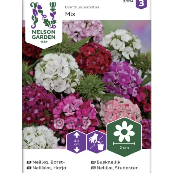 Nelson Garden Basic Kasvien Ja Nurmikonsiemenet-Harjaneilikka Siemen Seos