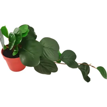 Kotikulta Tekokasvit-Herttaposliinikukka 38 Cm Ruukussa