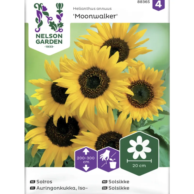 isoauringonkukka-siemen-nelson-fNwgmKjQ-0.webp Nelson Garden Basic Kasvien Ja Nurmikonsiemenet-Isoauringonkukka Siemen Moonwalker