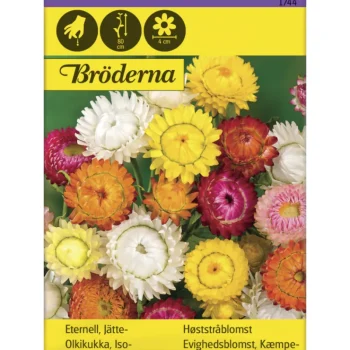 Bröderna Nelsons Kasvien Ja Nurmikonsiemenet-Isoolkikukka Väriseos Siemen