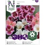 Nelson Garden Basic Kasvien Ja Nurmikonsiemenet-Isosilkkikukka Siemen Väriseos