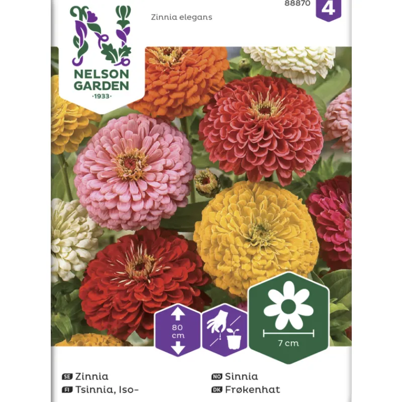 isotsinnia-siemen-nelson-garde-NYJZqusN-0.webp Nelson Garden Basic Kasvien Ja Nurmikonsiemenet-Isotsinnia Siemen Väriseos