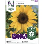 Nelson Garden Basic Kasvien Ja Nurmikonsiemenet-Jättiauringonkukka Siemen Uniflorus