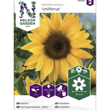 Nelson Garden Basic Kasvien Ja Nurmikonsiemenet-Jättiauringonkukka Siemen Uniflorus