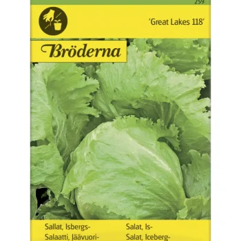 Bröderna Nelsons Kasvien Ja Nurmikonsiemenet-Jäävuorisalaatti Great Lakes Siemen