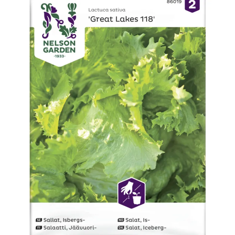 jvuorisalaatti-siemen-nelson-g-AMtssCdI-0.webp Nelson Garden Basic Kasvien Ja Nurmikonsiemenet-Jäävuorisalaatti Siemen Great Lakes 118