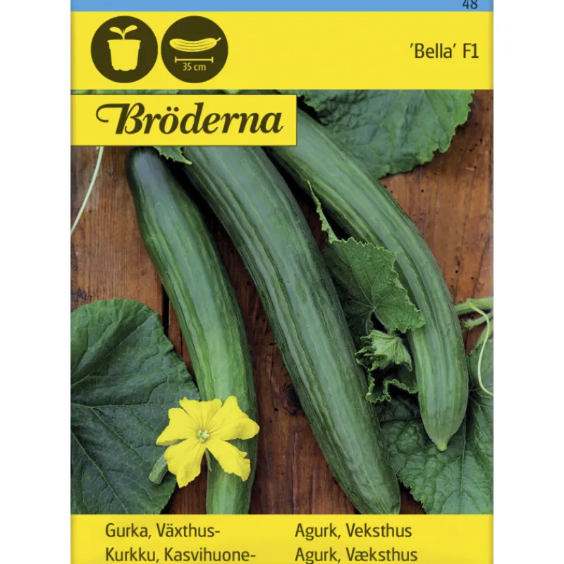 kasvihuonekurkku-bella-f1-siem-hxIYptue-0.webp Bröderna Nelsons Kasvien Ja Nurmikonsiemenet-Kasvihuonekurkku Bella F1 Siemen
