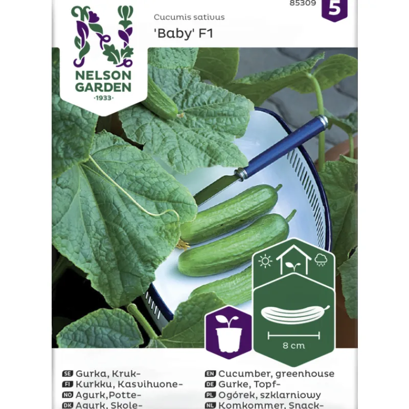kasvihuonekurkku-siemen-nelson-DpvDIupz-0.webp Nelson Garden Basic Kasvien Ja Nurmikonsiemenet-Kasvihuonekurkku Siemen Baby F1