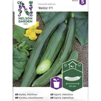 Nelson Garden Basic Kasvien Ja Nurmikonsiemenet-Kasvihuonekurkku Siemen Bella F1