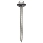 Keraplast Pihan Rakennusmateriaalit-Kateruuvi RST 4,8 X 60 Mm + 14 Mm Aluslevy