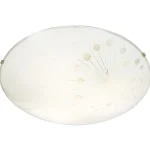 Aneta Lighting Sisävalaisimet-Kattoplafondi Capillata, Valkoinen