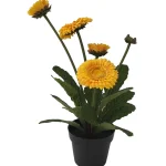 Kotikulta Tekokasvit-Kaunokainen 30 Cm