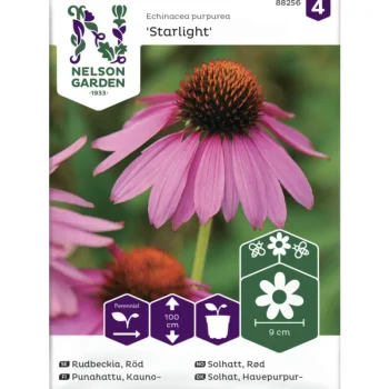 Nelson Garden Basic Kasvien Ja Nurmikonsiemenet-Kaunopunahattu Siemen Starlight