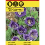 Bröderna Nelsons Kasvien Ja Nurmikonsiemenet-Kelloköynnös Siemen