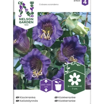 Nelson Garden Basic Kasvien Ja Nurmikonsiemenet-Kelloköynnös Siemen