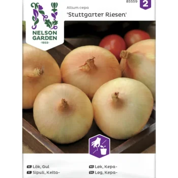 Nelson Garden Basic Kasvien Ja Nurmikonsiemenet-Keltasipuli Siemen Stuttgarter Riesen