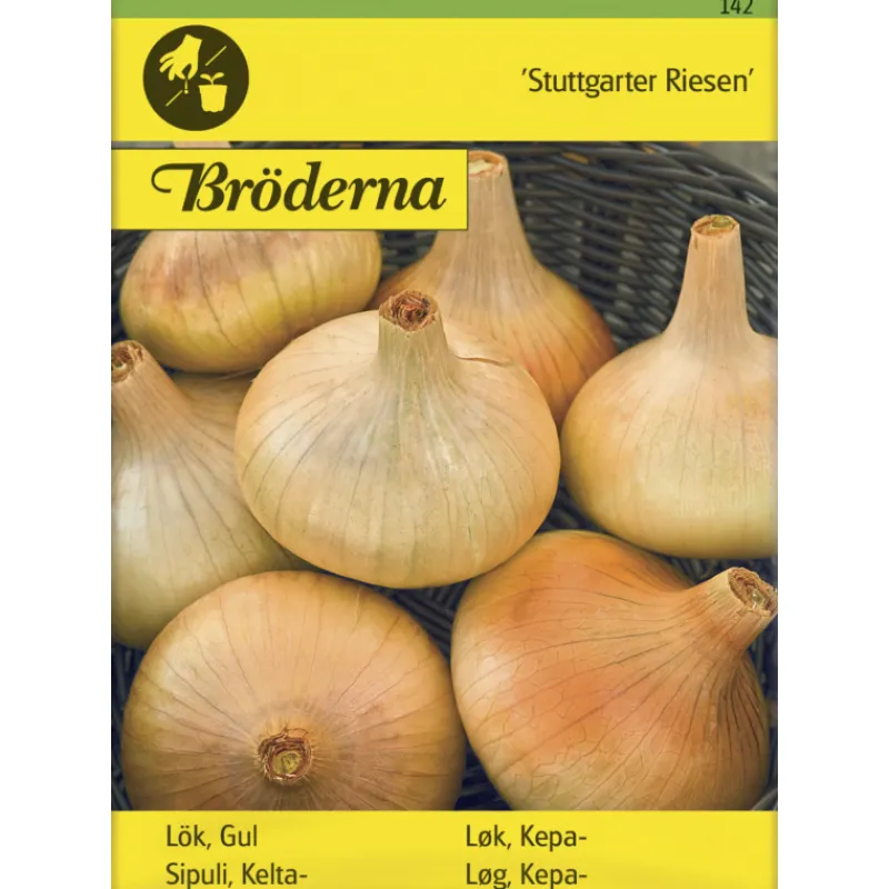 keltasipuli-stuttgarter-riesen-HQSNPhGq-0.webp Bröderna Nelsons Kasvien Ja Nurmikonsiemenet-Keltasipuli Stuttgarter Riesen Siemen