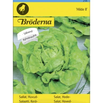 Bröderna Nelsons Kasvien Ja Nurmikonsiemenet-Keräsalaatti Hilde II Kylvönauha Siemen