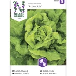 Nelson Garden Basic Kasvien Ja Nurmikonsiemenet-Keräsalaatti Siemen Attractie