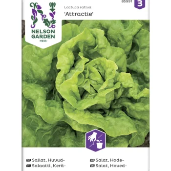 Nelson Garden Basic Kasvien Ja Nurmikonsiemenet-Keräsalaatti Siemen Attractie