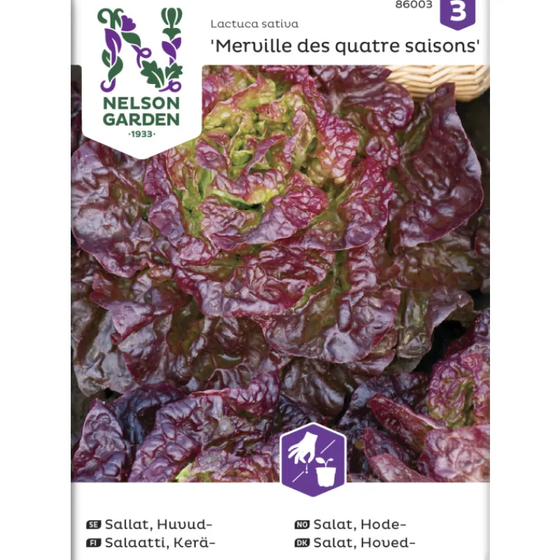 kersalaatti-siemen-nelson-gard-qXIxccZC-0.webp Nelson Garden Basic Kasvien Ja Nurmikonsiemenet-Keräsalaatti Siemen Merveille Des Quatres