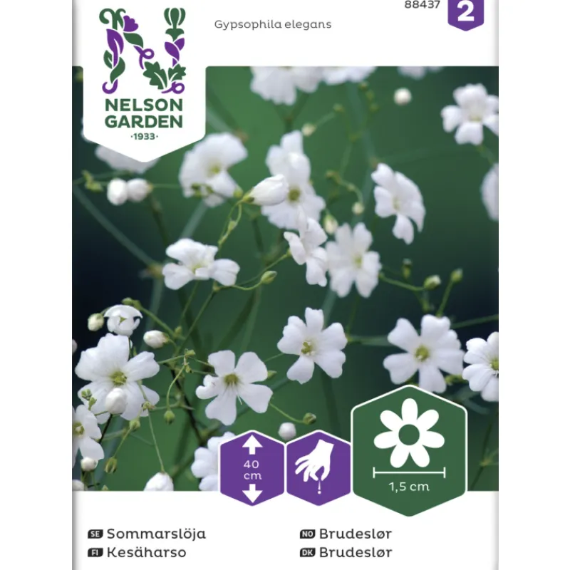 kesharso-siemen-nelson-garden-GgDuTuUP-0.webp Nelson Garden Basic Kasvien Ja Nurmikonsiemenet-Kesäharso Siemen