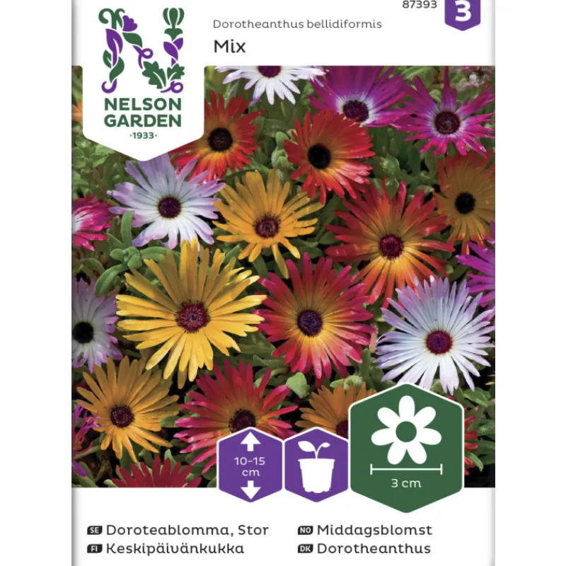 keskipivnkukka-siemen-nelson-g-QhWgDbmd-0.webp Nelson Garden Basic Kasvien Ja Nurmikonsiemenet-Keskipäivänkukka Siemen Väriseos