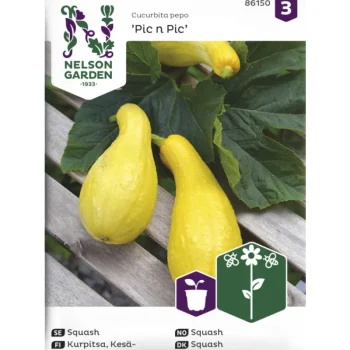 Nelson Garden Basic Kasvien Ja Nurmikonsiemenet-Kesäkurpitsa Siemen Zucchini/Pic N Pic