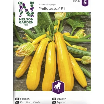 Nelson Garden Basic Kasvien Ja Nurmikonsiemenet-Kesäkurpitsa Siemen Yellowstar F1