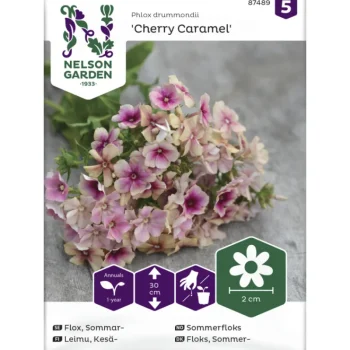 Nelson Garden Basic Kasvien Ja Nurmikonsiemenet-Kesäleimu Siemen Cherry Caramel
