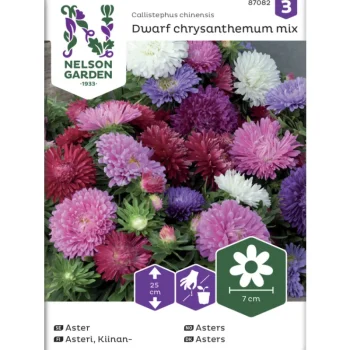 Nelson Garden Basic Kasvien Ja Nurmikonsiemenet-Kiinanasteri Siemen Dwarf Chrysanthemum Seos