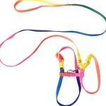 Real Cat Kissatarvikkeet^Kissan Valjaat + Talutin Sateenkaari