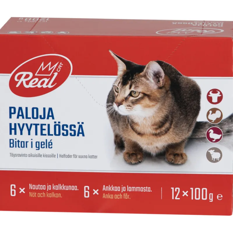 kissanruoka-real-cat-12-x-100-GROXtDHQ-0.webp Real Cat Kissanruoka^Kissanruoka 12 X 100 G Lihalajitelma