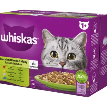 Whiskas Kissanruoka^Kissanruoka 12 X 85 G 1+ Suosikit Hyytelössä