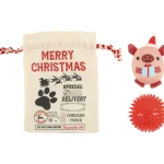 Real Dog Koiratarvikkeet^Koiran Lahjapussi X-mas + 2 Lelua