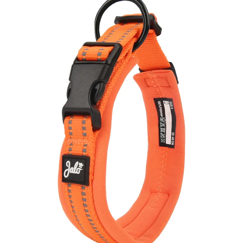 koiran-panta-jalo-oranssi-JTkVvrpf-0.webp Jalo Koiratarvikkeet^Koiran Panta Oranssi