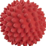 Real Dog Koiratarvikkeet^Koiran Siilipallo L Punainen