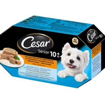Cesar Koiranruoka^Koiranruoka 4 X 150 G Senior Selection Hyytelölajitelma