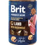 Brit Premium By Nature Koiranruoka^Koiranruoka 400 G Lammas-tattari