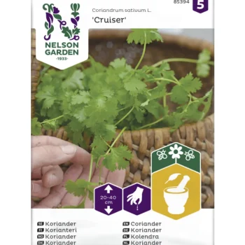 Nelson Garden Basic Kasvien Ja Nurmikonsiemenet-Korianteri Siemen Cruiser