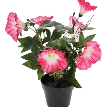 Kotikulta Tekokasvit-Koristekasvi Päivänsini 30 Cm Pinkki